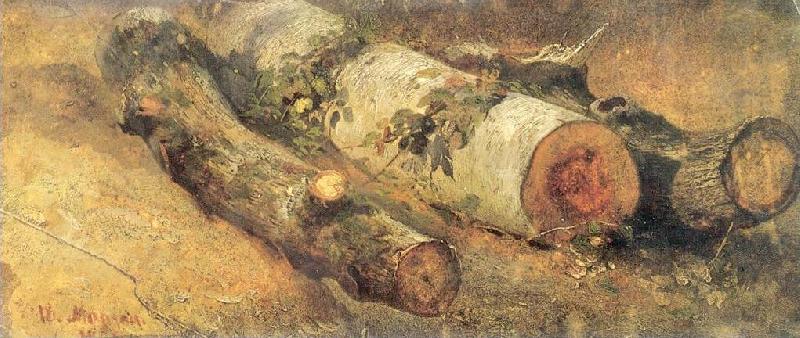 Ivan Shishkin Felled Birches oil painting image